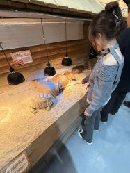 -Zoolung Zoolung动物主题公园(海信广场店)