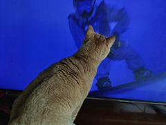 -怡海公园(桂城街道)