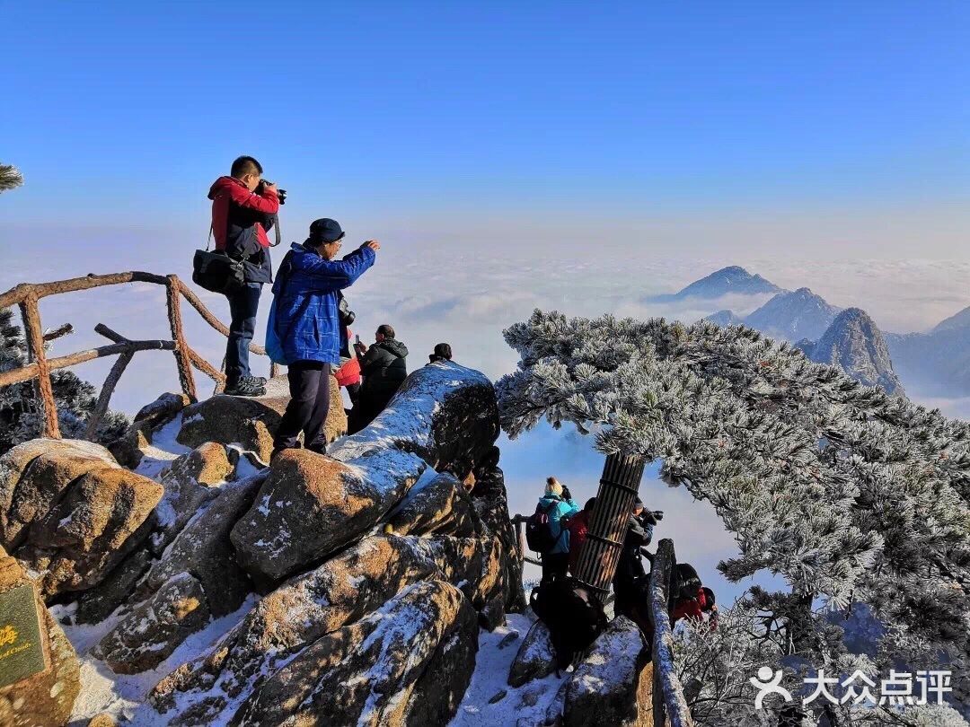 【博洋视线】 难忘黄山雪️ 云和雪都恋着这山峦