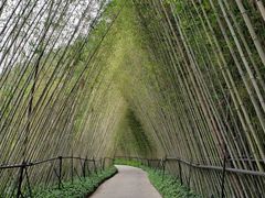 -古龙峡云天玻霸