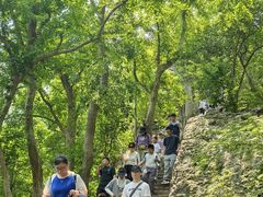 -紫金山山顶公园