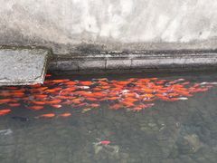 -前童古镇