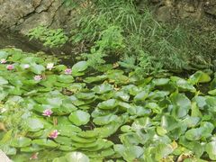 -金龙寺国家森林公园