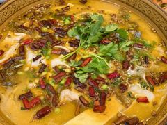 -草墩罗非鱼庄•野生菌•腊排骨(七星街上段店)