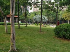 -同德公园