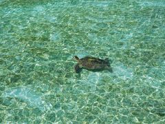 iphone_upload_pic-卡帕莱度假村(西巴丹岛)