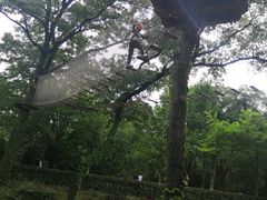 -WeLope紫金山探险公园