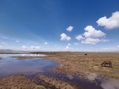 -花湖生态旅游区