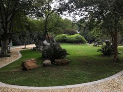 -菊花台公园