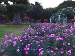 -南宁南湖公园
