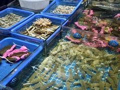 -皮记海鲜1995(寮步店)