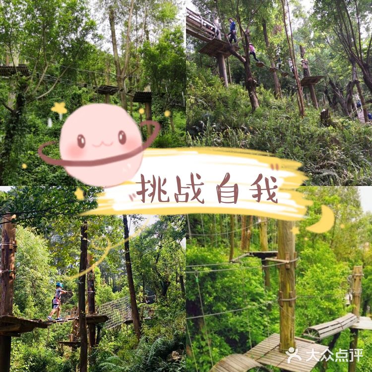 真的太棒了！️温馨提示：适合4-12岁的孩子