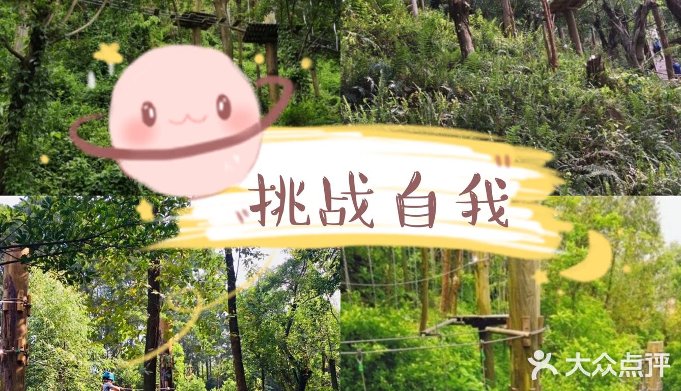 真的太棒了！️温馨提示：适合4-12岁的孩子