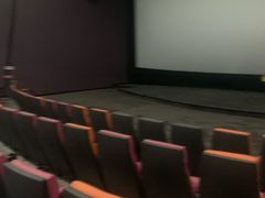 -幸福蓝海国际影城(河西店)