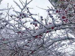 -颐景园