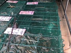-荔城生鲜盛宴(番禺旗舰店)