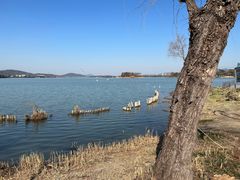 -长广溪湿地公园
