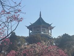 -无锡梅园公园