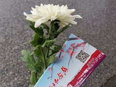 -上海市龙华烈士陵园