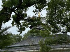 -浙江西子宾馆·牡丹厅