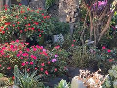 -山菌美食苑(振兴路店)