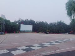 -枫花园汽车电影院(朝阳公园店)