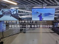 -Hopo Snow 城市滑雪空间(来福士广场购物中心店)