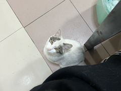 -清真·白家牛肉罩火烧老店(育才街店)