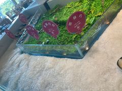 -阳光岛·海鲜盛宴(银泰中心in99店)