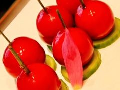 -润苑·悦椿轩(徐汇万科中心一期店)