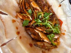 -黄四老鱼馆(尚东国际店)