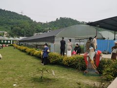 -普迪生态园