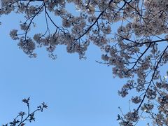 -龙美术馆(西岸馆)