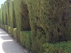 -阿尔罕布拉宫