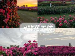 -上海山野camping·户外天幕烧烤·团建拓展营地