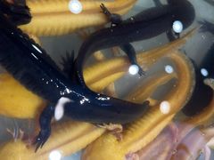 -万达广场(南京江宁店)