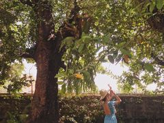 -Chom Cafe and Restaurant