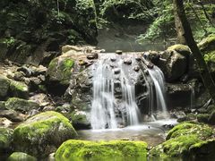 -牛背梁国家森林公园