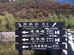 -云台山风景名胜区