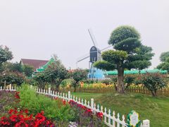 -荷兰花海
