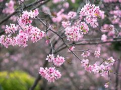 -广州市白云山风景名胜区