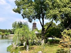 -盘门景区