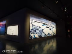 -罗红摄影艺术馆