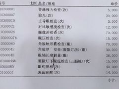 -上海大学附属上海和平眼科医院