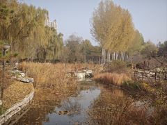 -燕郊植物园