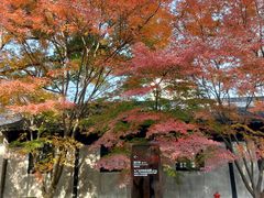 -上海市龙华烈士陵园