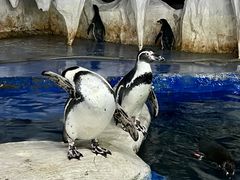 -太平洋海底世界