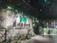 -野象谷景区