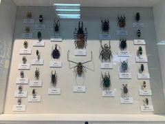 -国家自然博物馆