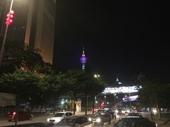 -罗汉果龙眼冰糖燉冬瓜